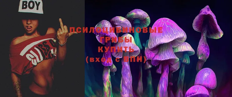 Псилоцибиновые грибы Psilocybine cubensis  kraken вход  Лебедянь 